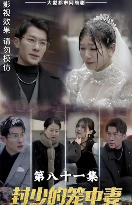 《封少的笼中妻》：霸道总裁与笼中娇妻的虐恋传奇