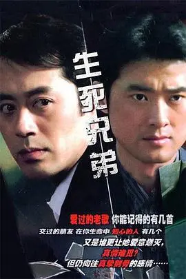 《生死兄弟》：战火下的情义抉择，人性光辉闪耀银幕