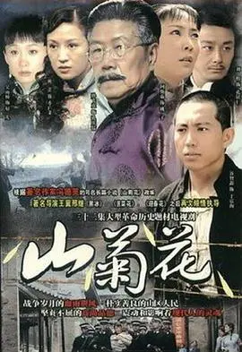 《山菊花2007》：命运交织下的乡村爱情与时代变迁